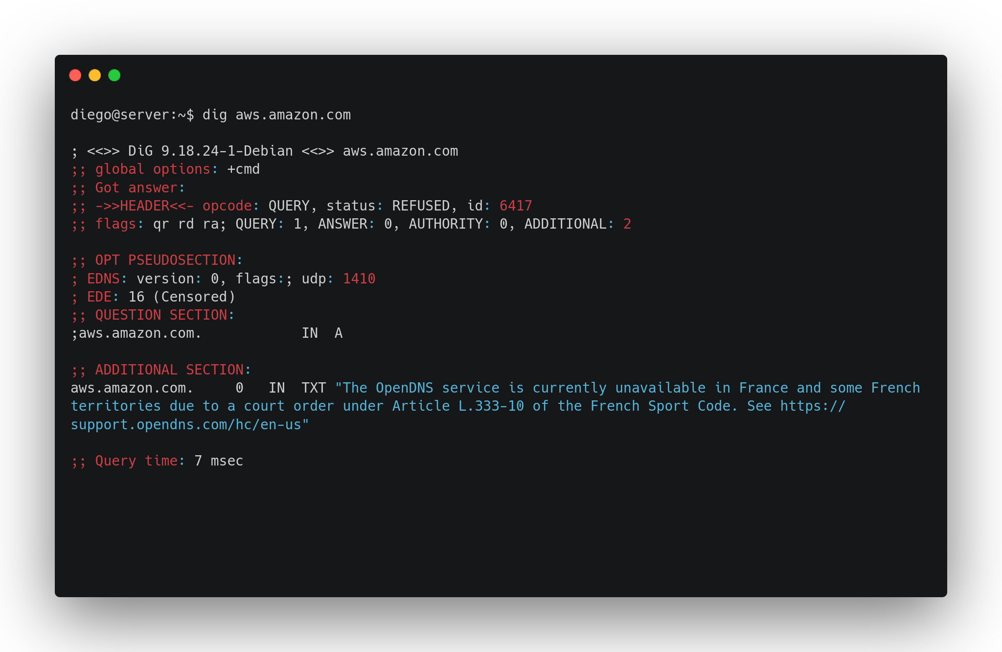 Salida del comando dig